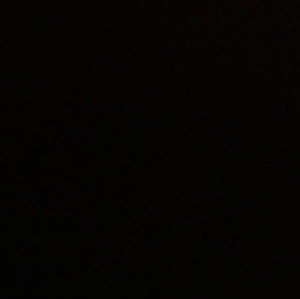 Meet your Posher, Janie